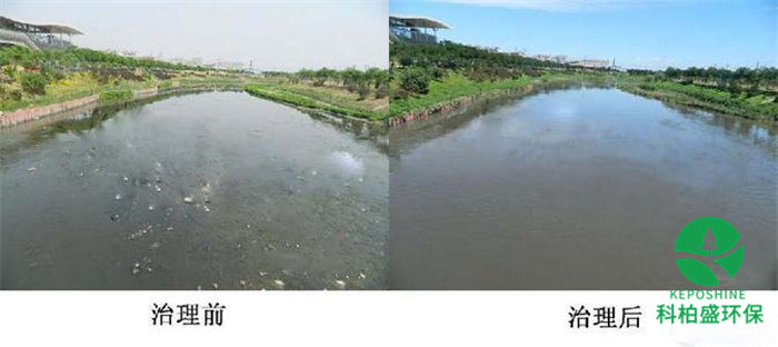 PP���ӡ�(�й�����)���¹ٷ���վ