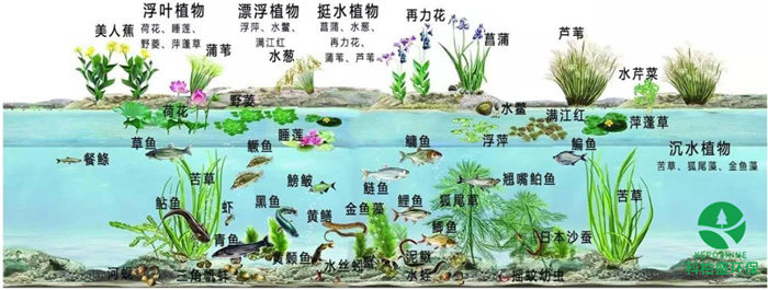 PP���ӡ�(�й�����)���¹ٷ���վ