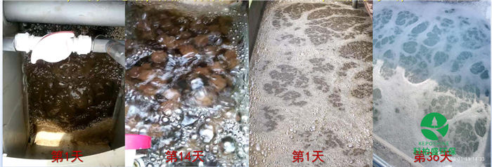 PP���ӡ�(�й�����)���¹ٷ���վ