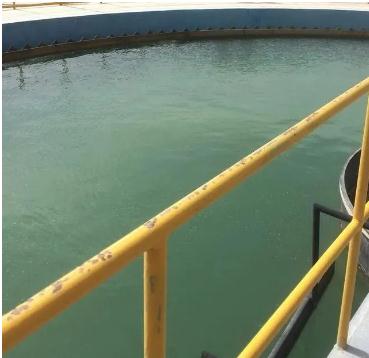 PP���ӡ�(�й�����)���¹ٷ���վ