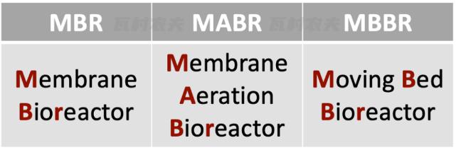 PP���ӡ�(�й�����)���¹ٷ���վ