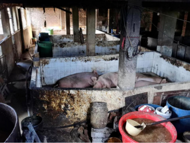 PP���ӡ�(�й�����)���¹ٷ���վ