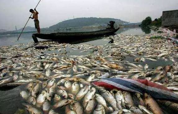 PP���ӡ�(�й�����)���¹ٷ���վ